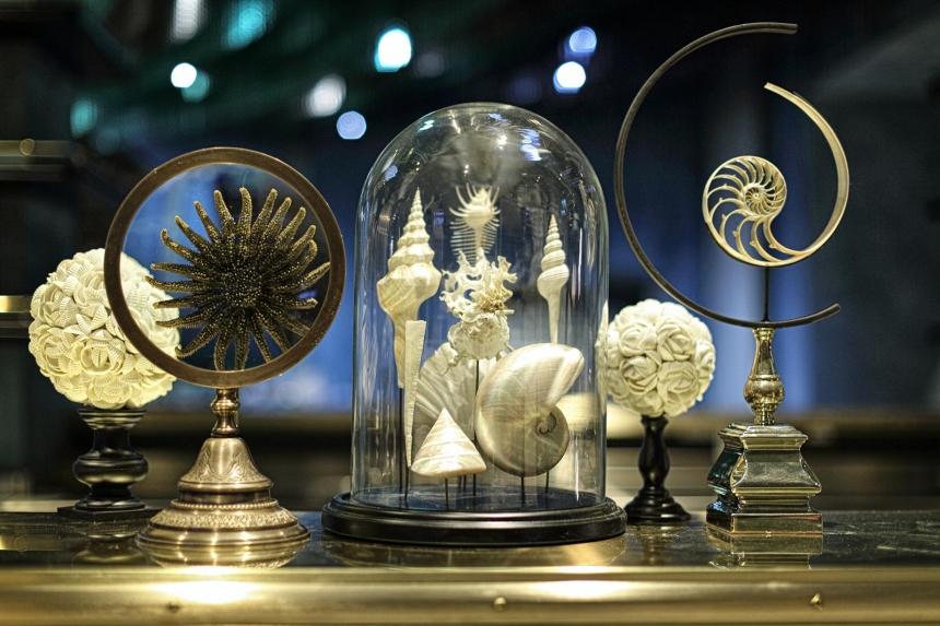 En samling kuriosa och konstverk under glaskupoler, inklusive en snäcka, ett klot och en vit statyett, vilka alla bidrar till en känsla av under och mystik.